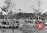 Immagine di Esercito muli traghettato La Birmania, 1944, secondo 43 filmato di repertorio 65675023528