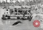 Immagine di Esercito muli traghettato La Birmania, 1944, secondo 53 filmato di repertorio 65675023528