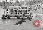 Immagine di Esercito muli traghettato La Birmania, 1944, secondo 54 filmato di repertorio 65675023528