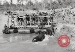 Immagine di Esercito muli traghettato La Birmania, 1944, secondo 55 filmato di repertorio 65675023528