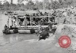 Immagine di Esercito muli traghettato La Birmania, 1944, secondo 56 filmato di repertorio 65675023528