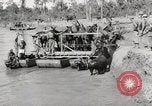 Immagine di Esercito muli traghettato La Birmania, 1944, secondo 60 filmato di repertorio 65675023528