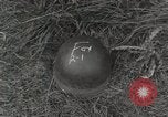 Image of United States medics Gace France, 1944, second 3 stock footage video 65675023536