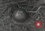 Image of United States medics Gace France, 1944, second 5 stock footage video 65675023536