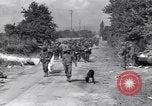 Immagine di Catturato prigionieri nazista Chambois Francia, 1944, secondo 8 filmato di repertorio 65675023538