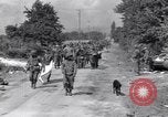 Immagine di Catturato prigionieri nazista Chambois Francia, 1944, secondo 10 filmato di repertorio 65675023538