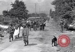 Immagine di Catturato prigionieri nazista Chambois Francia, 1944, secondo 12 filmato di repertorio 65675023538