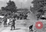 Immagine di Catturato prigionieri nazista Chambois Francia, 1944, secondo 13 filmato di repertorio 65675023538