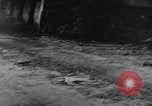 Standbild 90th Infantry Division Chambois Frankreich, 1944, aus Sekunde 14 historischem Filmmaterial Videoclip 65675023540