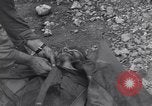 Image 90e Division d'infanterie Mantes France, 1944, de la seconde 58 séquences d'archives historiques vidéo 65675023543