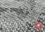 Immagine di Leader americani United States USA, 1942, secondo 29 filmato di repertorio 65675023563