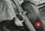 Image of Italians invade Ethiopia Ethiopia, 1936, second 47 stock footage video 65675023566
