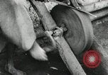 Image of Italians invade Ethiopia Ethiopia, 1936, second 48 stock footage video 65675023566