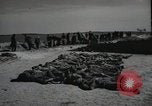 Image of Nazi atrocity victims of Gardelegen massacre Gardelegen Germany, 1945, second 4 stock footage video 65675023571