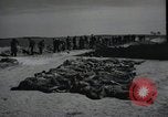 Image of Nazi atrocity victims of Gardelegen massacre Gardelegen Germany, 1945, second 5 stock footage video 65675023571