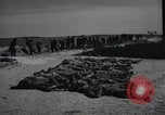 Image of Nazi atrocity victims of Gardelegen massacre Gardelegen Germany, 1945, second 6 stock footage video 65675023571