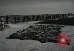 Image of Nazi atrocity victims of Gardelegen massacre Gardelegen Germany, 1945, second 7 stock footage video 65675023571