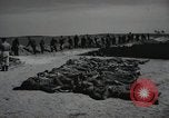 Image of Nazi atrocity victims of Gardelegen massacre Gardelegen Germany, 1945, second 8 stock footage video 65675023571