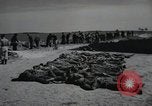 Image of Nazi atrocity victims of Gardelegen massacre Gardelegen Germany, 1945, second 9 stock footage video 65675023571
