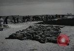 Image of Nazi atrocity victims of Gardelegen massacre Gardelegen Germany, 1945, second 10 stock footage video 65675023571