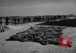 Image of Nazi atrocity victims of Gardelegen massacre Gardelegen Germany, 1945, second 11 stock footage video 65675023571