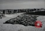 Image of Nazi atrocity victims of Gardelegen massacre Gardelegen Germany, 1945, second 12 stock footage video 65675023571