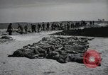 Image of Nazi atrocity victims of Gardelegen massacre Gardelegen Germany, 1945, second 13 stock footage video 65675023571