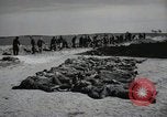 Image of Nazi atrocity victims of Gardelegen massacre Gardelegen Germany, 1945, second 14 stock footage video 65675023571