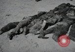 Image of Nazi atrocity victims of Gardelegen massacre Gardelegen Germany, 1945, second 15 stock footage video 65675023571