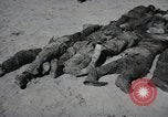 Image of Nazi atrocity victims of Gardelegen massacre Gardelegen Germany, 1945, second 16 stock footage video 65675023571