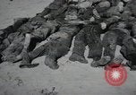 Image of Nazi atrocity victims of Gardelegen massacre Gardelegen Germany, 1945, second 18 stock footage video 65675023571