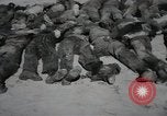 Image of Nazi atrocity victims of Gardelegen massacre Gardelegen Germany, 1945, second 20 stock footage video 65675023571