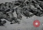 Image of Nazi atrocity victims of Gardelegen massacre Gardelegen Germany, 1945, second 23 stock footage video 65675023571
