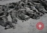 Image of Nazi atrocity victims of Gardelegen massacre Gardelegen Germany, 1945, second 24 stock footage video 65675023571