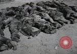 Image of Nazi atrocity victims of Gardelegen massacre Gardelegen Germany, 1945, second 25 stock footage video 65675023571
