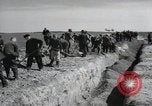 Image of Nazi atrocity victims of Gardelegen massacre Gardelegen Germany, 1945, second 26 stock footage video 65675023571
