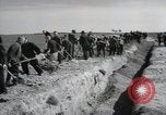 Image of Nazi atrocity victims of Gardelegen massacre Gardelegen Germany, 1945, second 27 stock footage video 65675023571