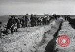 Image of Nazi atrocity victims of Gardelegen massacre Gardelegen Germany, 1945, second 28 stock footage video 65675023571