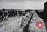 Image of Nazi atrocity victims of Gardelegen massacre Gardelegen Germany, 1945, second 29 stock footage video 65675023571