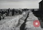 Image of Nazi atrocity victims of Gardelegen massacre Gardelegen Germany, 1945, second 31 stock footage video 65675023571