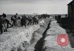 Image of Nazi atrocity victims of Gardelegen massacre Gardelegen Germany, 1945, second 32 stock footage video 65675023571