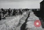 Image of Nazi atrocity victims of Gardelegen massacre Gardelegen Germany, 1945, second 33 stock footage video 65675023571