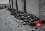 Image of Nazi atrocity victims of Gardelegen massacre Gardelegen Germany, 1945, second 34 stock footage video 65675023571
