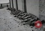 Image of Nazi atrocity victims of Gardelegen massacre Gardelegen Germany, 1945, second 39 stock footage video 65675023571