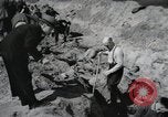 Image of Nazi atrocity victims of Gardelegen massacre Gardelegen Germany, 1945, second 40 stock footage video 65675023571