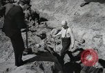 Image of Nazi atrocity victims of Gardelegen massacre Gardelegen Germany, 1945, second 42 stock footage video 65675023571