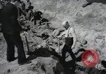 Image of Nazi atrocity victims of Gardelegen massacre Gardelegen Germany, 1945, second 44 stock footage video 65675023571