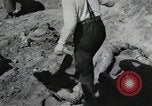 Image of Nazi atrocity victims of Gardelegen massacre Gardelegen Germany, 1945, second 45 stock footage video 65675023571