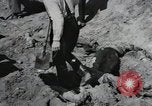 Image of Nazi atrocity victims of Gardelegen massacre Gardelegen Germany, 1945, second 46 stock footage video 65675023571