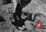 Image of Nazi atrocity victims of Gardelegen massacre Gardelegen Germany, 1945, second 47 stock footage video 65675023571